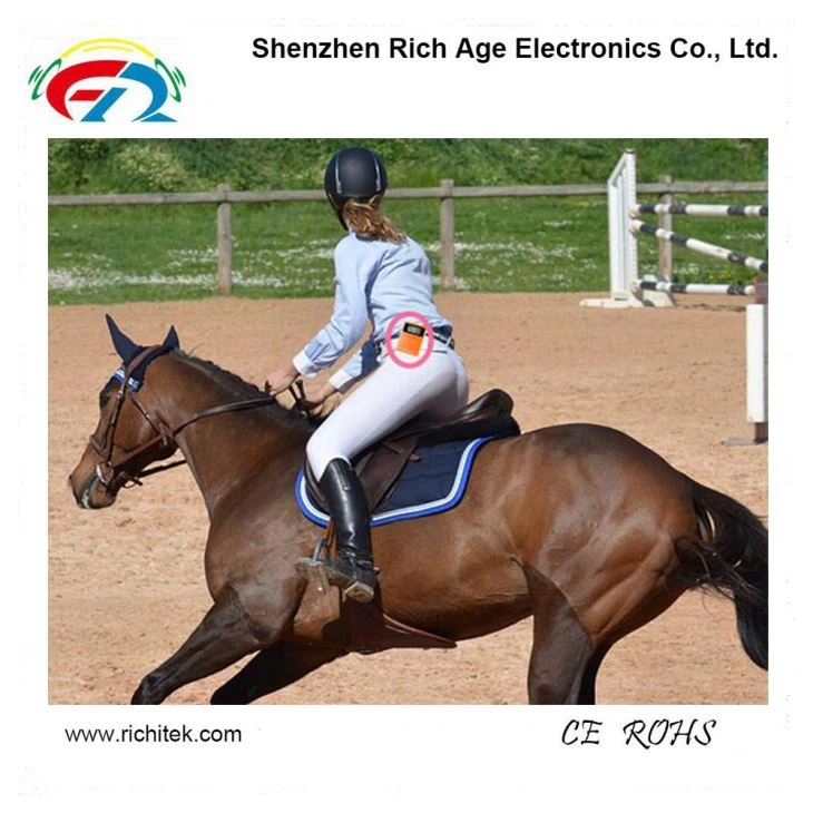 Horse Riding Teaching With Wireless Sound Transmission System Enseñanza de equitación con sistema de transmisión de sonido inalámbrico(图1)