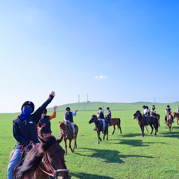 Caso de entrenamiento de equitación